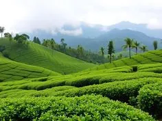 Ooty Trip